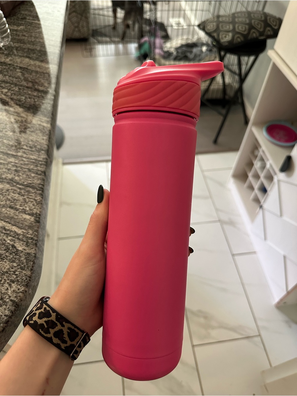 Hot Pink Insulated Travel Bottle
